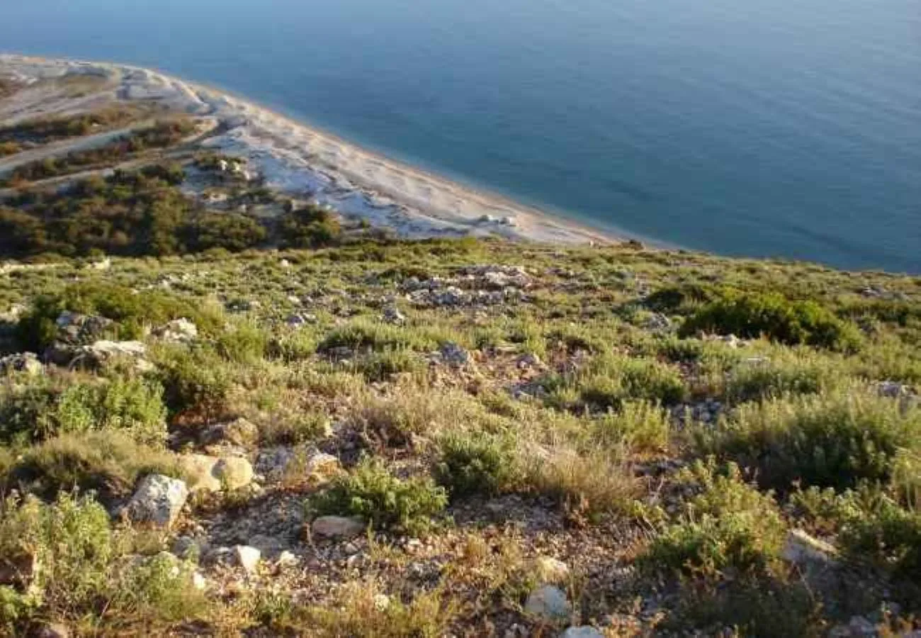 Shitet tokë kullotë në piqeras, sarandë.