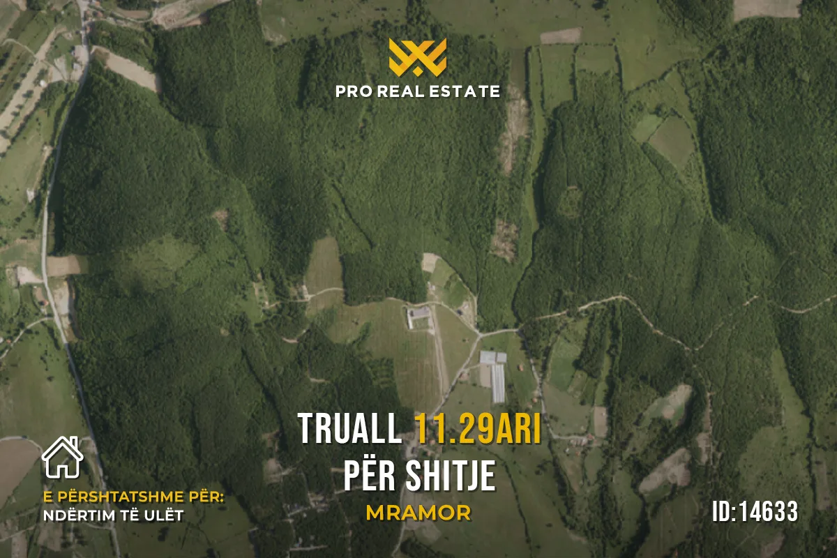 Truall 11.29 Ari për #SHITJE në Mramor