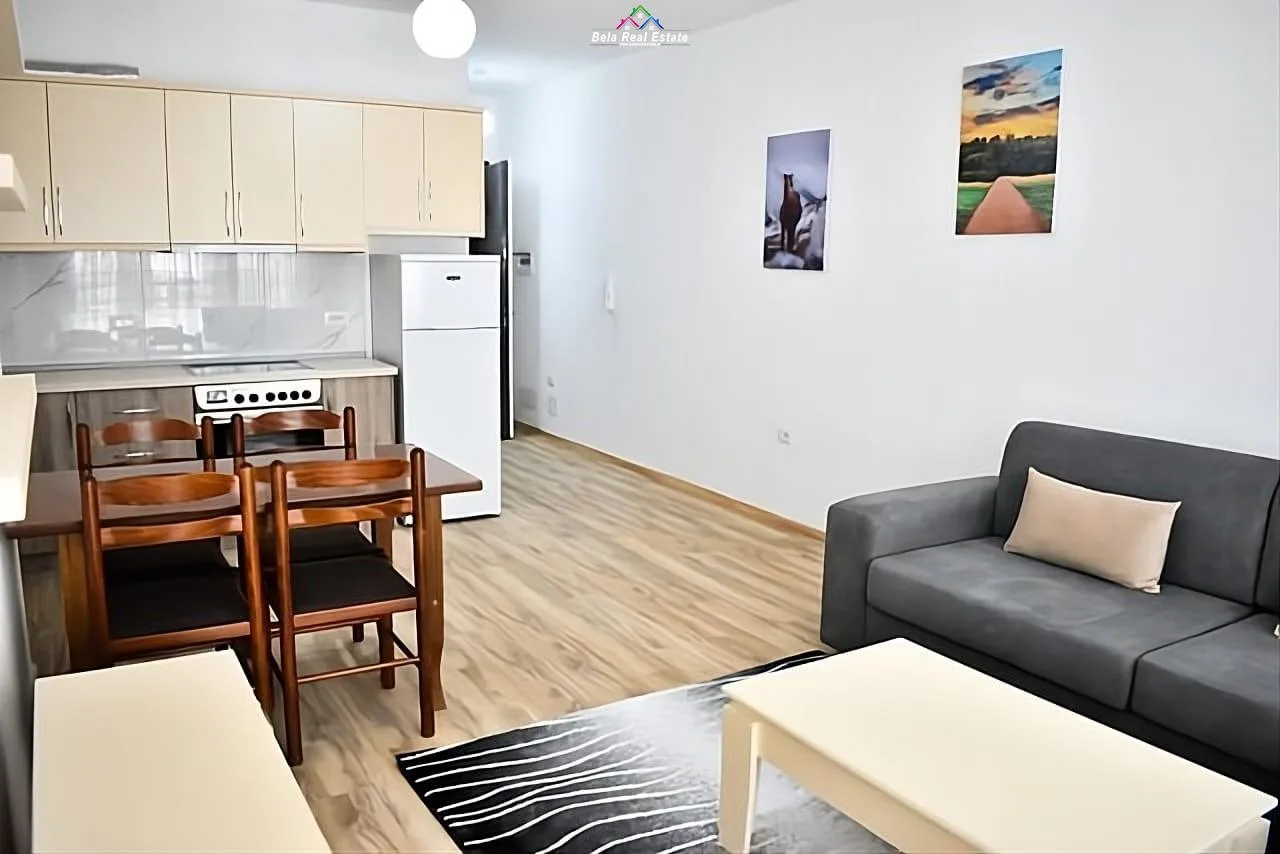 Apartament Me Qera 1+1 Tek Dritan Hoxha (ID B2101409) Tirane