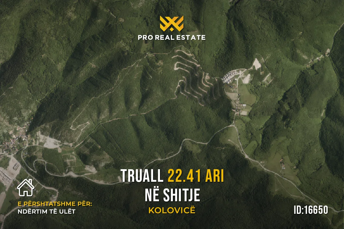 Truall 22.41 Ari për #SHITJE në Kolovicë