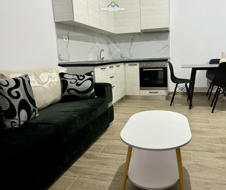 Kat Vile Me Qera 1+1 Ne Yzberisht (ID BV22285) Tirane