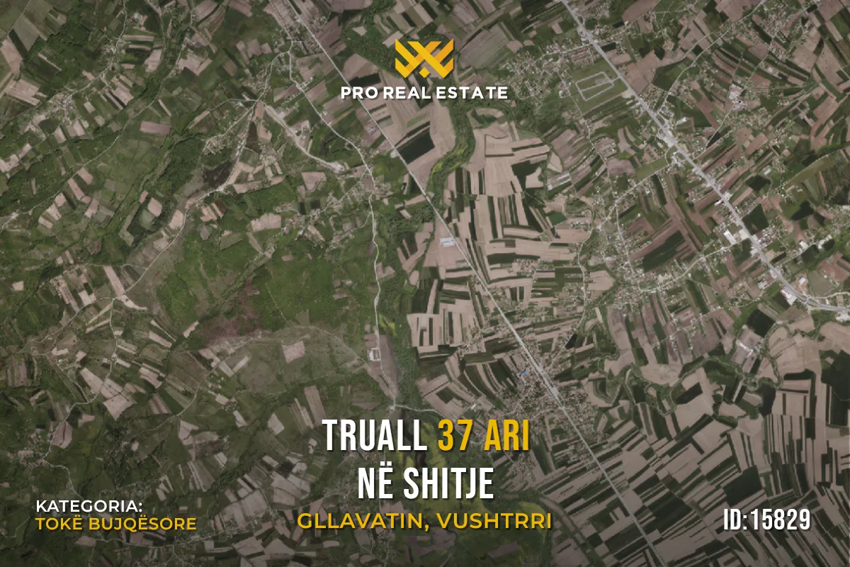 Truall 37 Ari për #SHITJE në Gllavatin