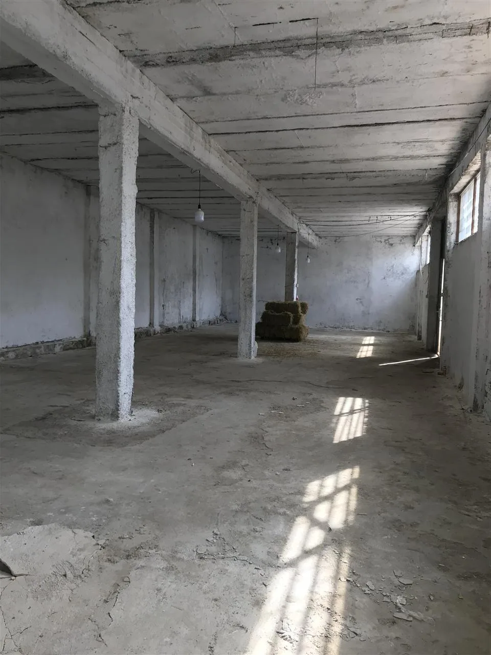 Magazine Me Qera tek rruga 5 Maji (ID BM262) Tirane​
