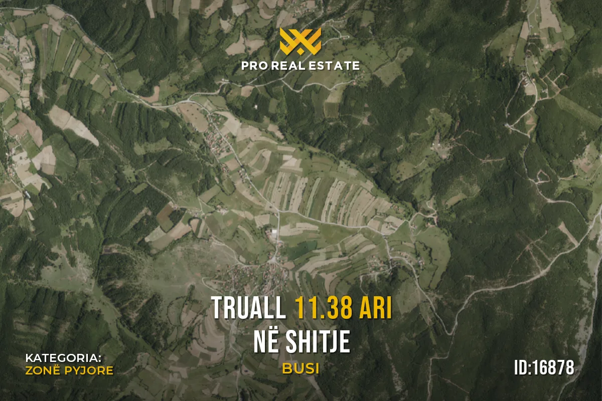 Truall 11.38 Ari për #SHITJE në Busi