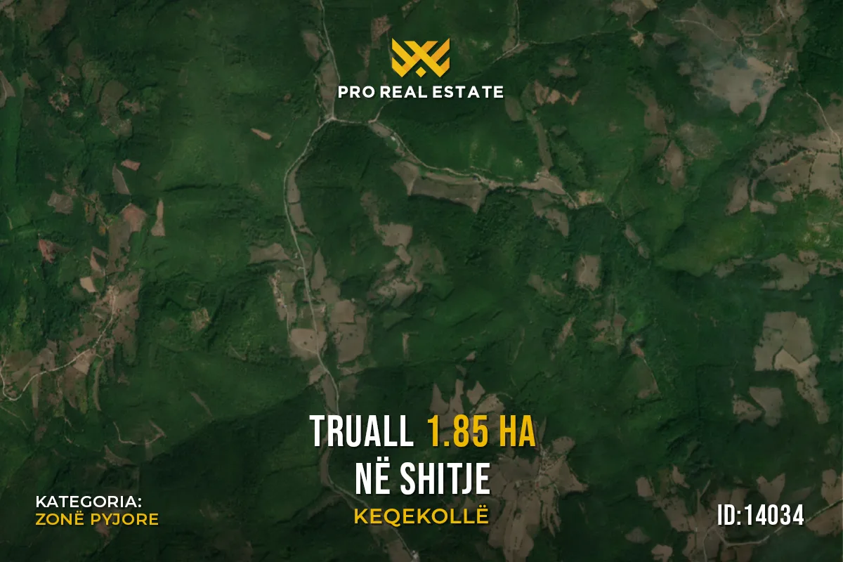 Truall 1.85 Ha për #SHITJE në Keqekollë