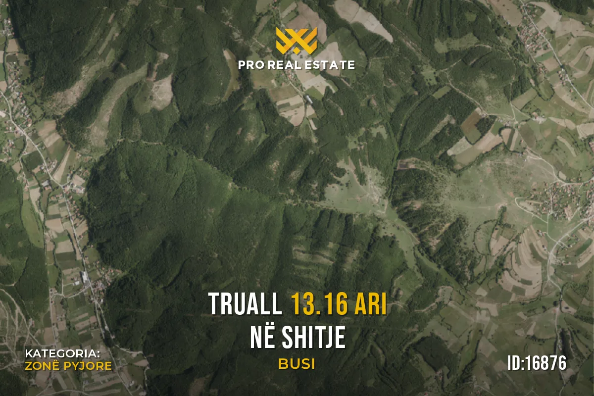 Truall 13.16 Ari për #SHITJE në Busi