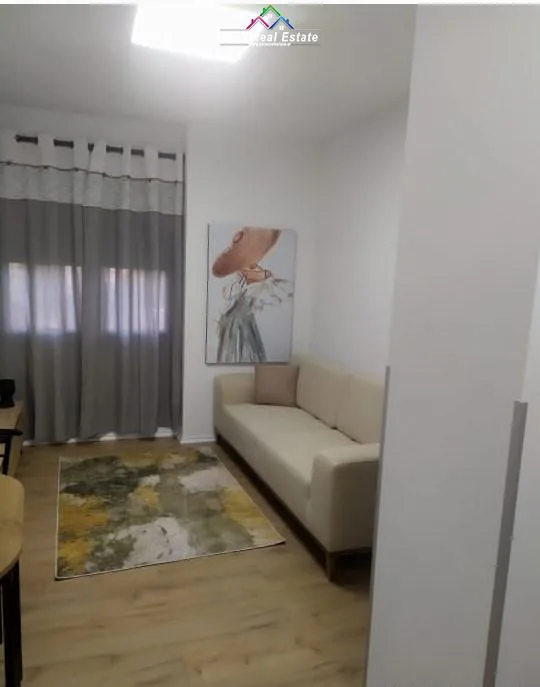 Apartament Me Qera 1+1 Prane Qendres (ID B210742) Tirane.