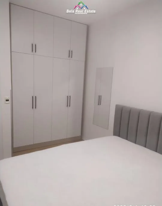 Apartament Me Qera 1+1 Prane Qendres (ID B210742) Tirane.
