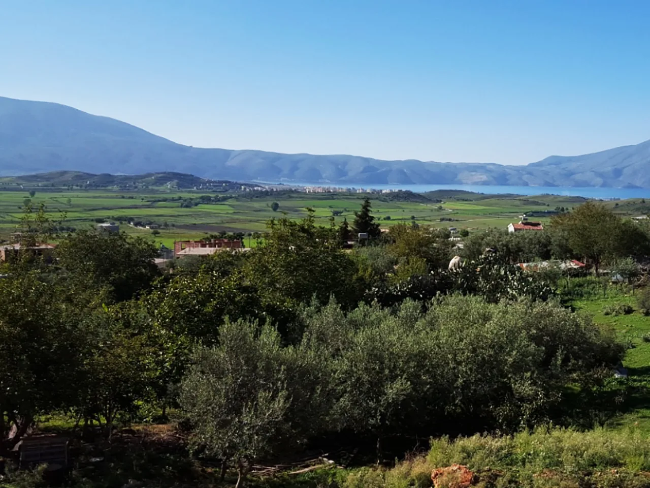 Shitet tokë truall në “tragjas”, vlorë