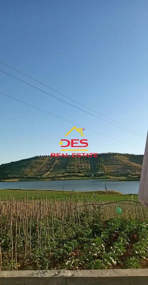 Shitet tokë ullishtë në tregan, elbasan.