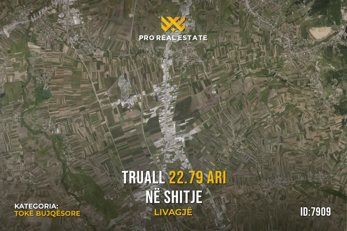Truall 22.79 Ari për #SHITJE në Livagjë