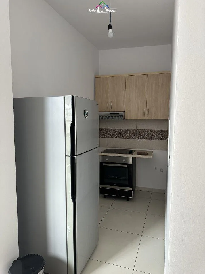 Apartament Me Qera 2+1 Tek Rruga e Elbasanit (ID B221234 Tirane.