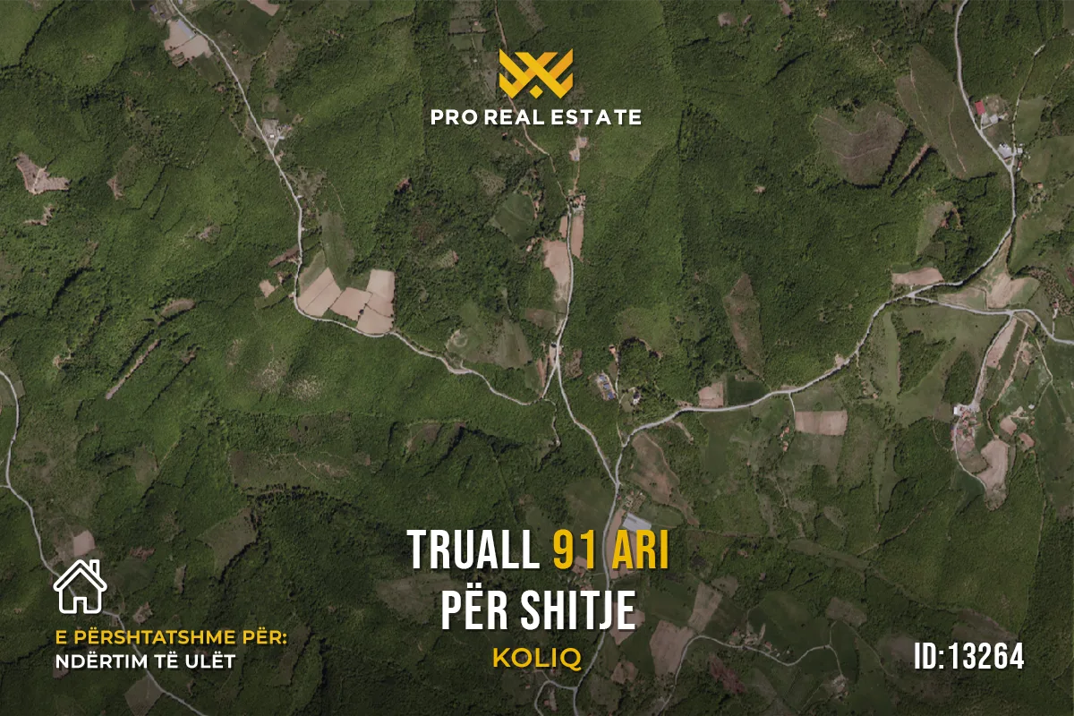 Truall 91 Ari për #SHITJE në Koliq