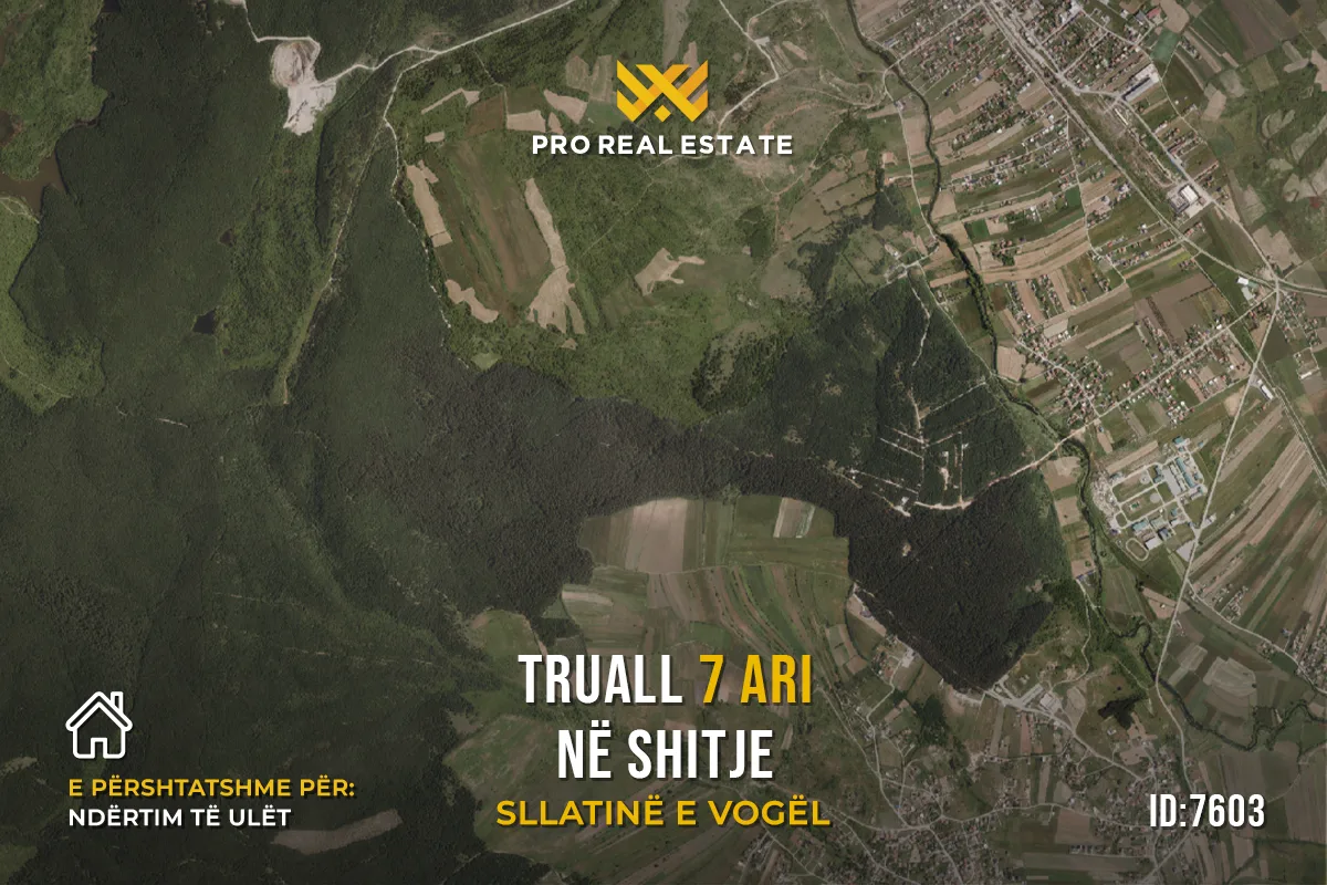 Truall 7 Ari për #SHITJE në Sllatinë e Vogël