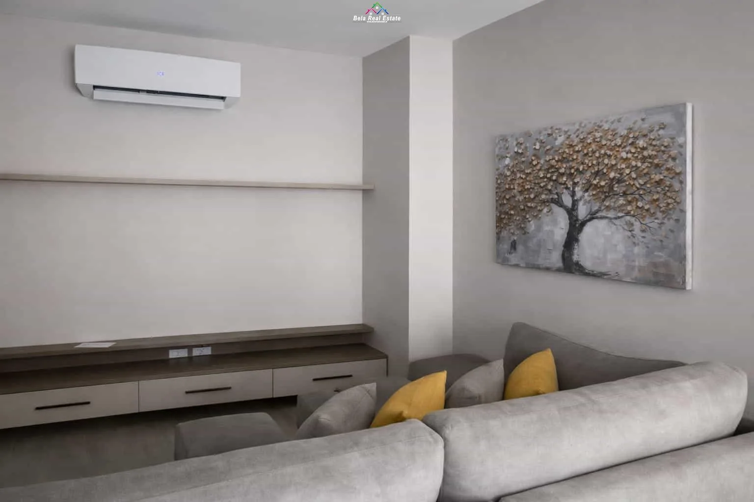 Apartament Me Qera 1+1 Tek Dritan Hoxha ( ID B2101530) Tirane