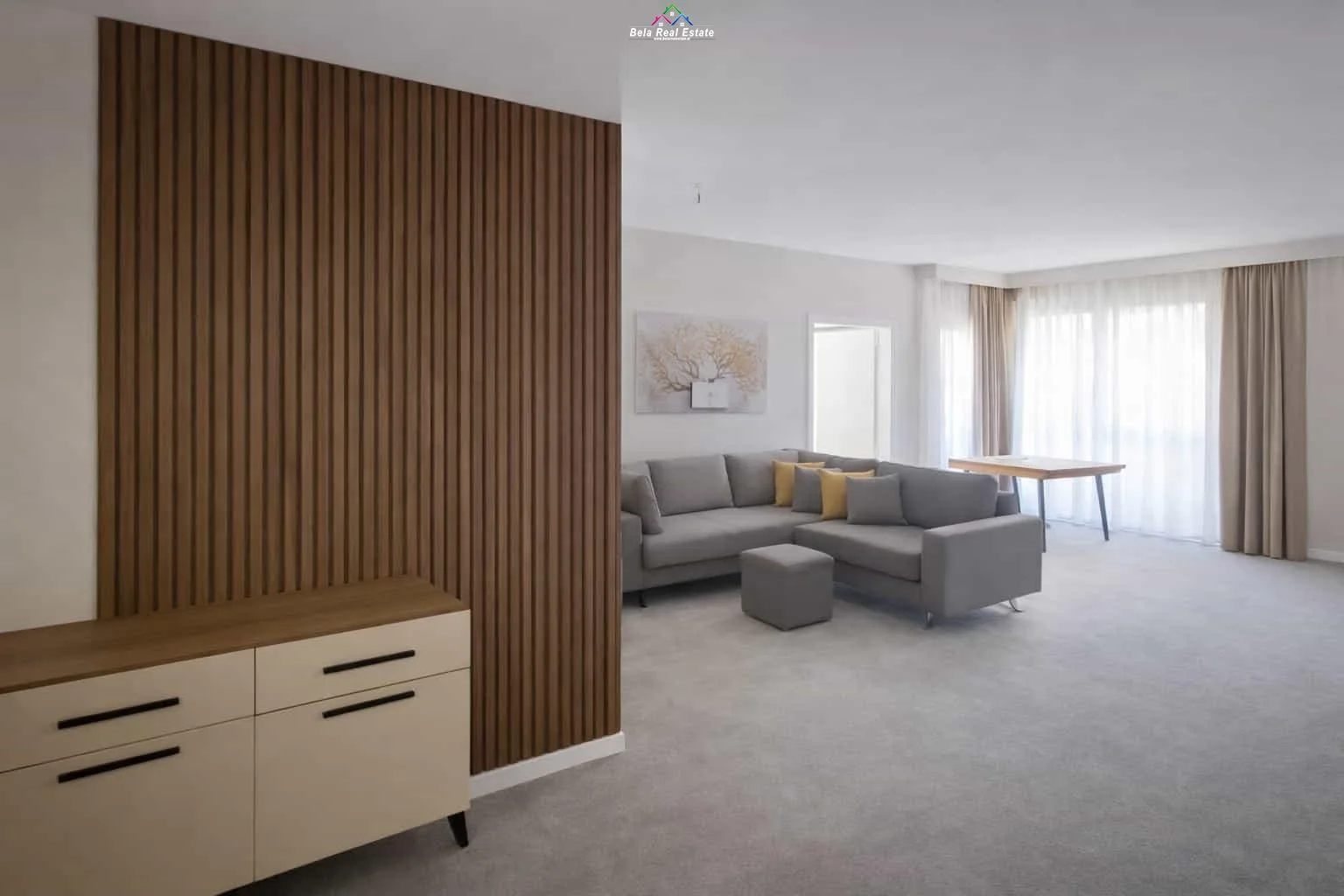 Apartament Me Qera 1+1 Tek Dritan Hoxha ( ID B2101530) Tirane