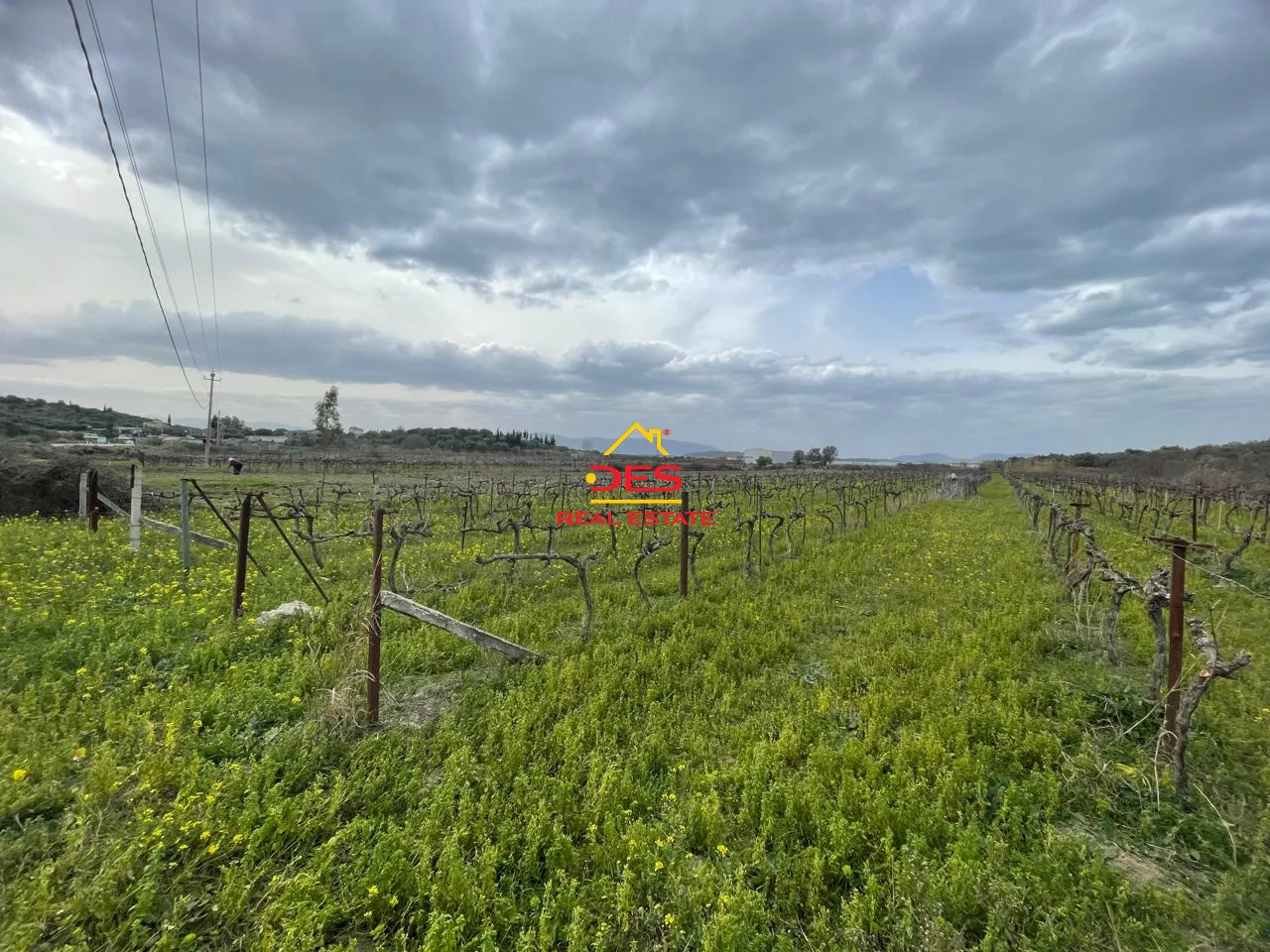 Shitet tokë – arë në panaja,vlorë.