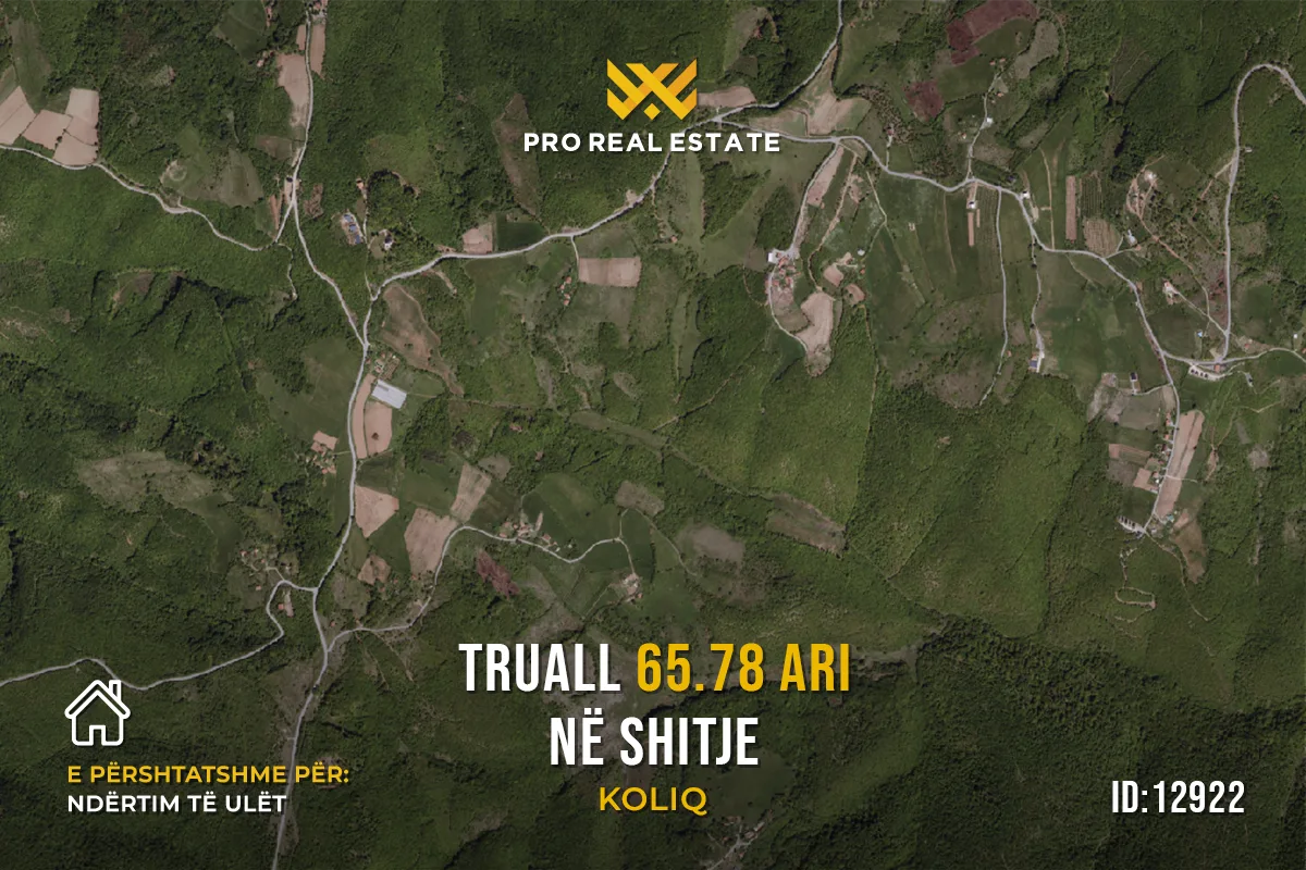 Truall 65.78 Ari për #SHITJE në Koliq