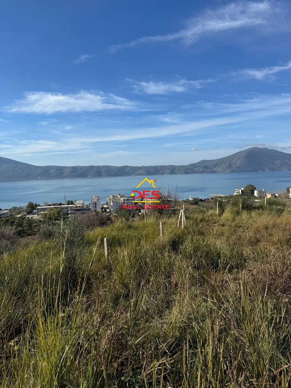 Shitet tokë – pemëtore në radhimë, vlorë.
