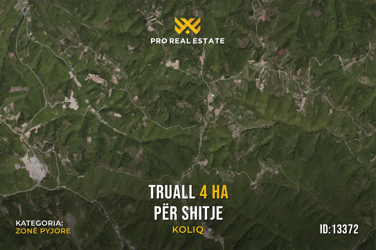 Truall 4 Ha për #SHITJE në Koliq