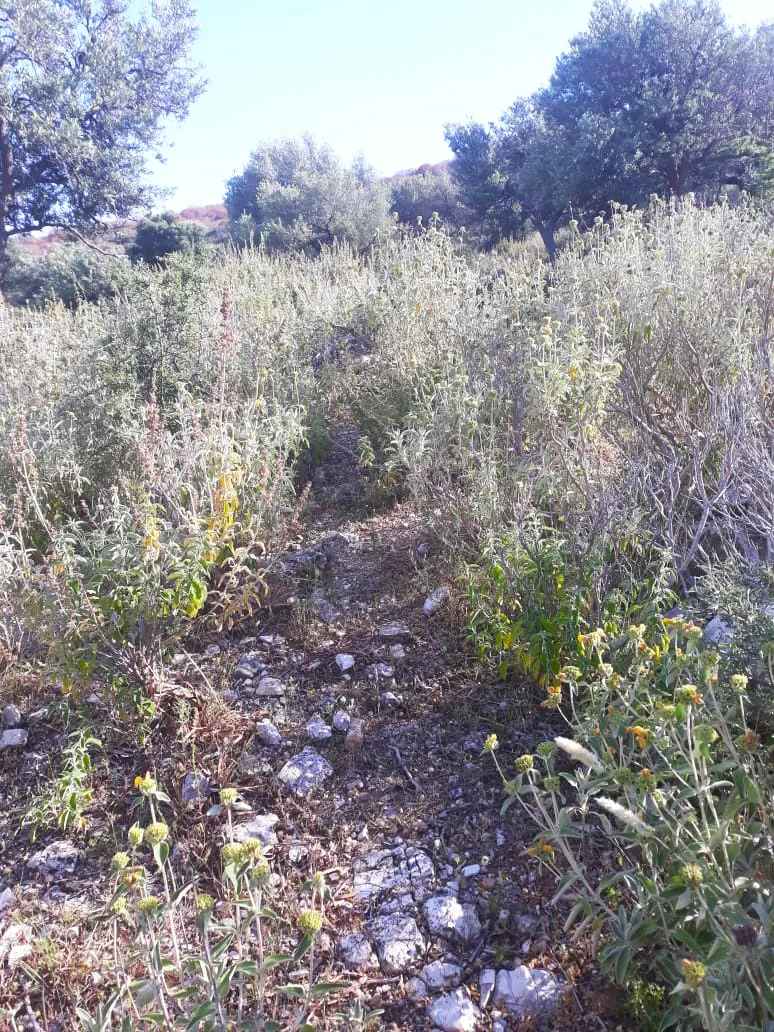 Shitet tokë bujqësore në fshatin qeparo, himarë