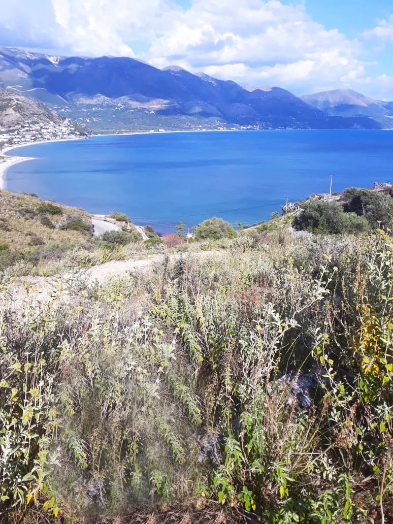 Shitet tokë bujqësore në fshatin qeparo, himarë