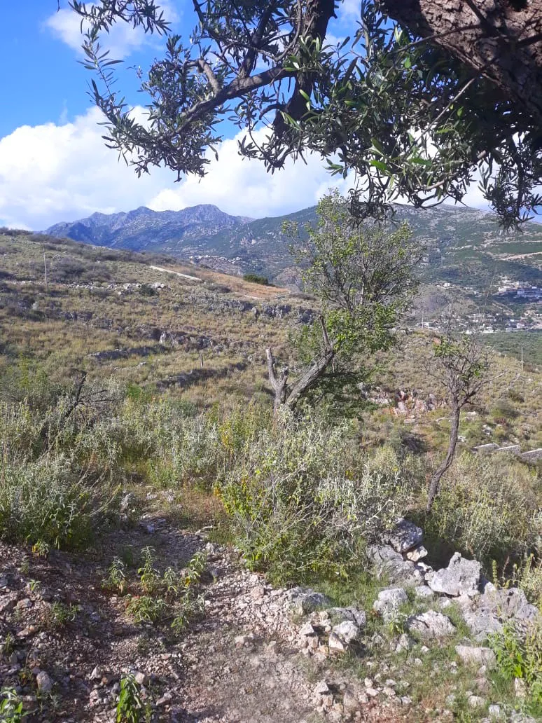 Shitet tokë bujqësore në fshatin qeparo, himarë