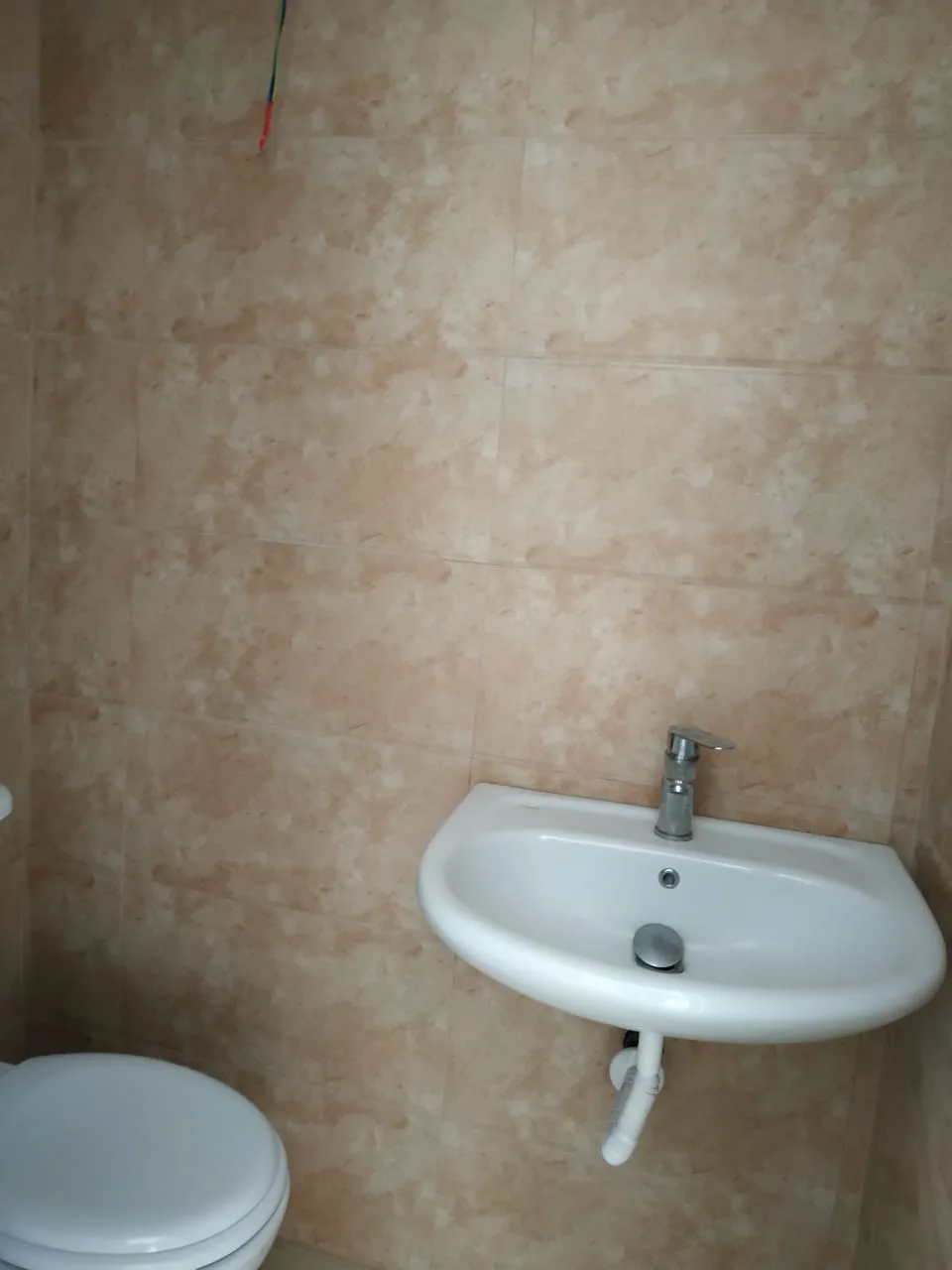 Shitet ambient biznesi tek myslym shyri, tiranë