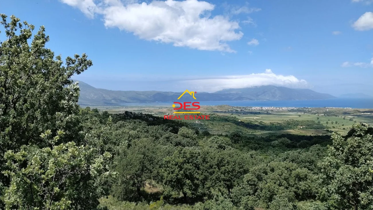 Shitet tokë në tragjas, vlorë