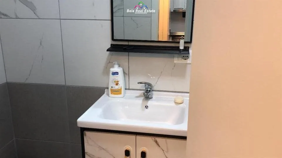 Apartament Me Qera 1+1 Tek Fresku (ID B210946) Tirane.