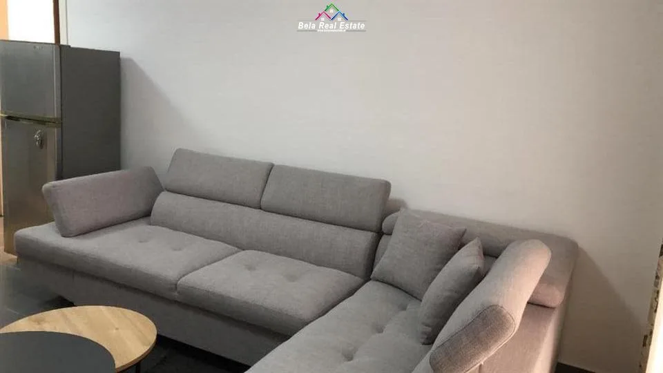 Apartament Me Qera 1+1 Tek Fresku (ID B210946) Tirane.