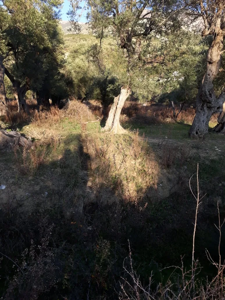 Shitet ullishte në fshatin borsh, himarë