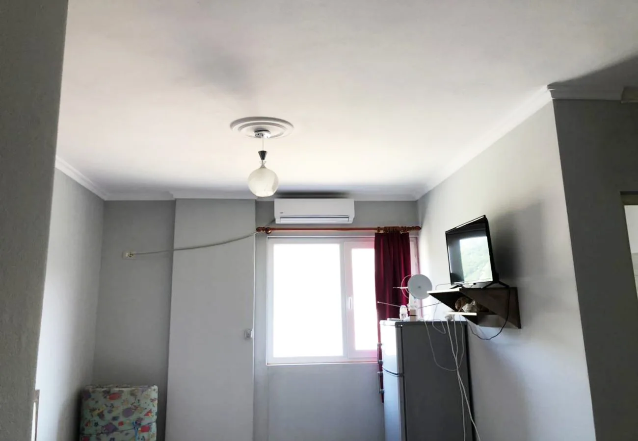 Shitet garsionere në qendër, shëngjin.