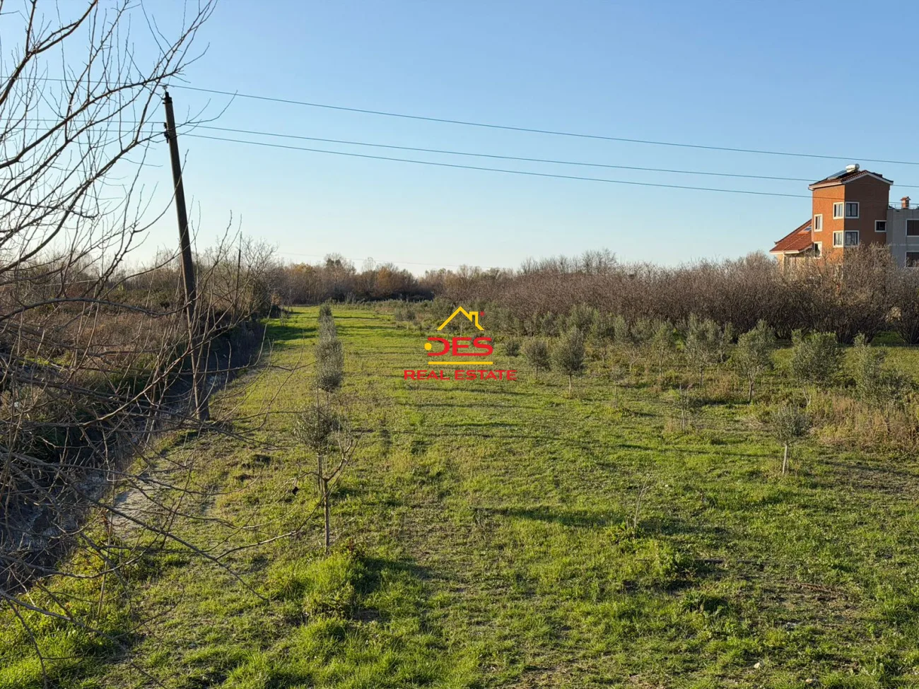 Okazion – shitet tokë-arë në novoselë, vlorë 🌳