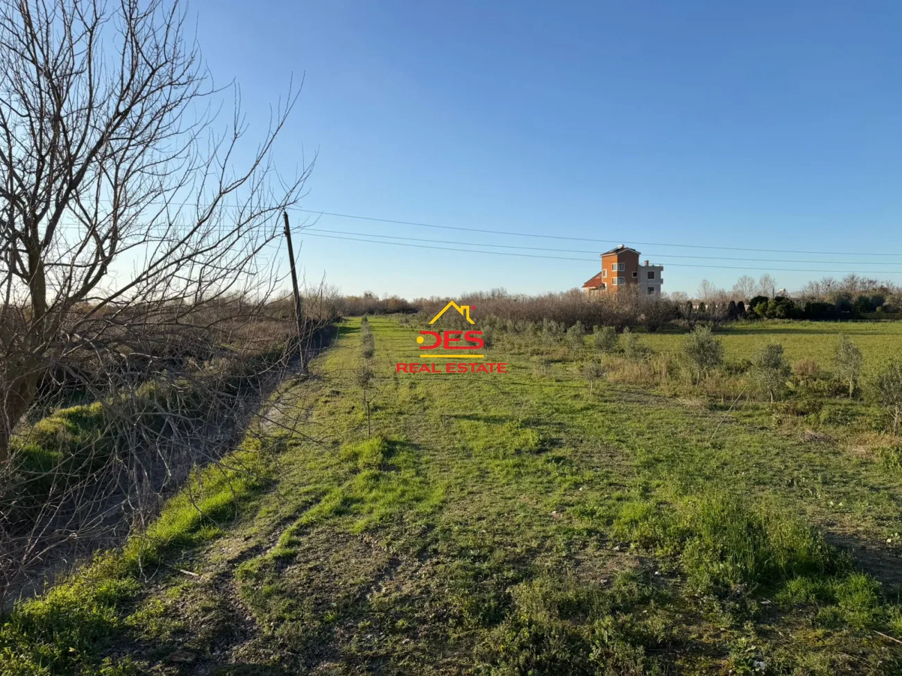 Okazion – shitet tokë-arë në novoselë, vlorë 🌳