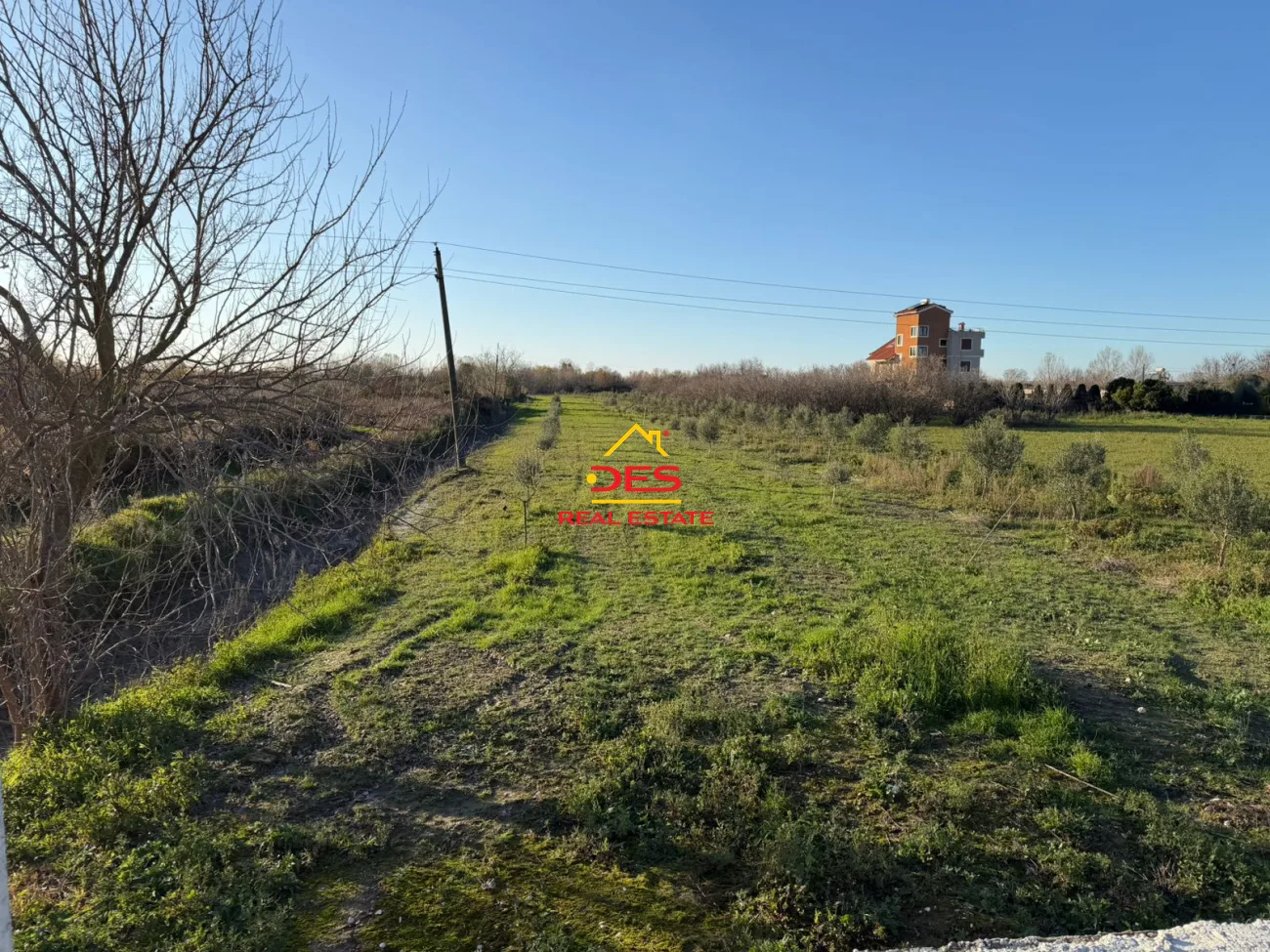 Okazion – shitet tokë-arë në novoselë, vlorë 🌳