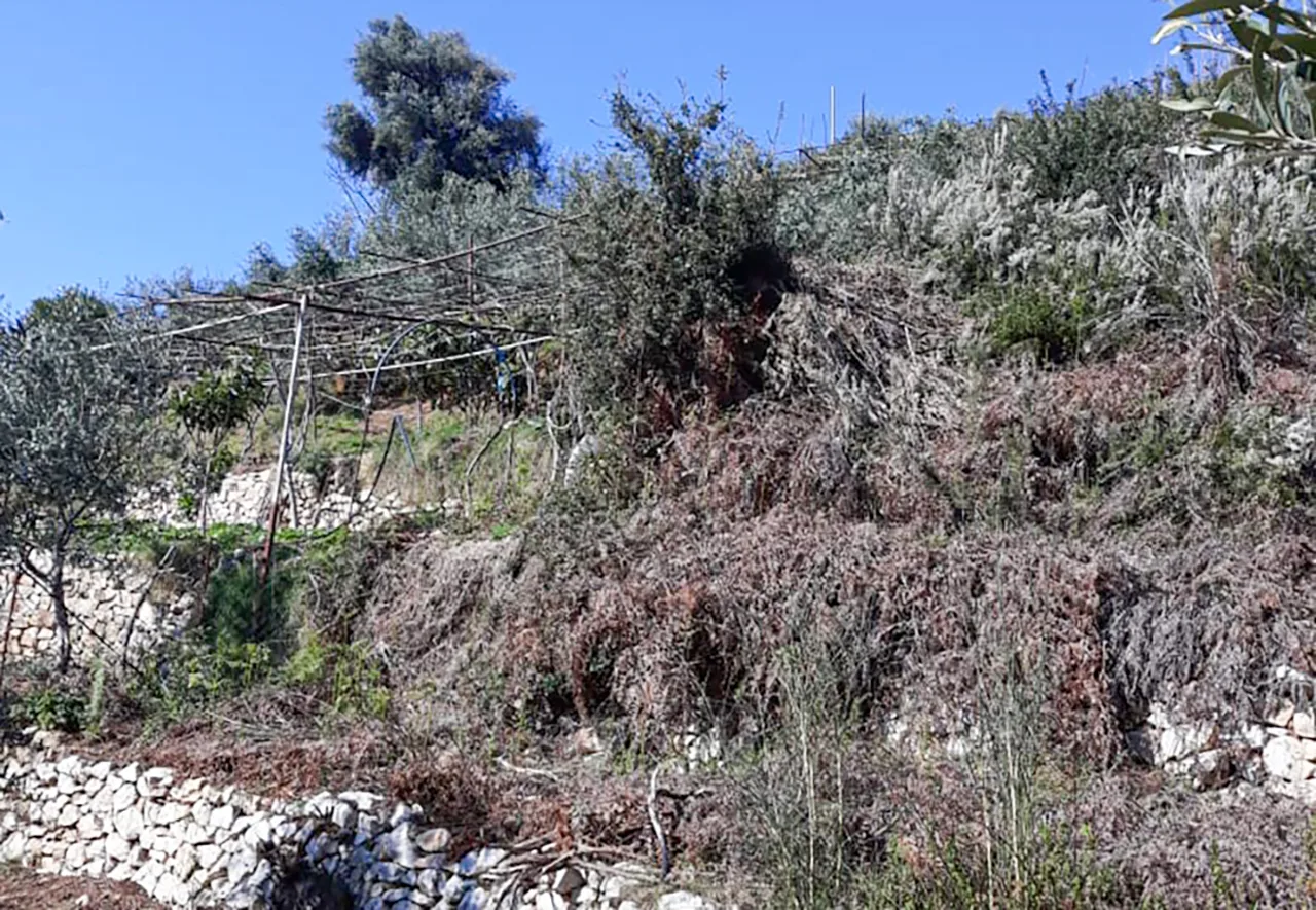 Shitet tokë bujqësore në himarë