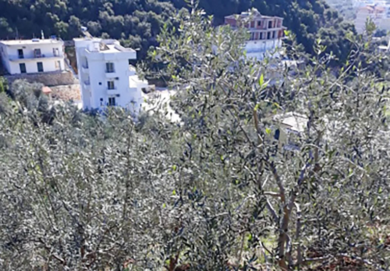 Shitet tokë bujqësore në himarë
