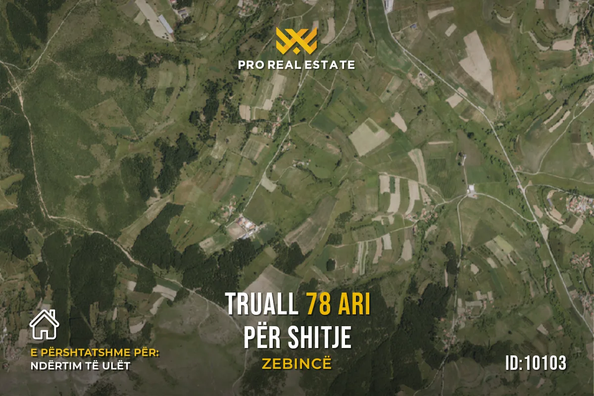 Truall 78 Ari për #SHITJE në Novobërdë