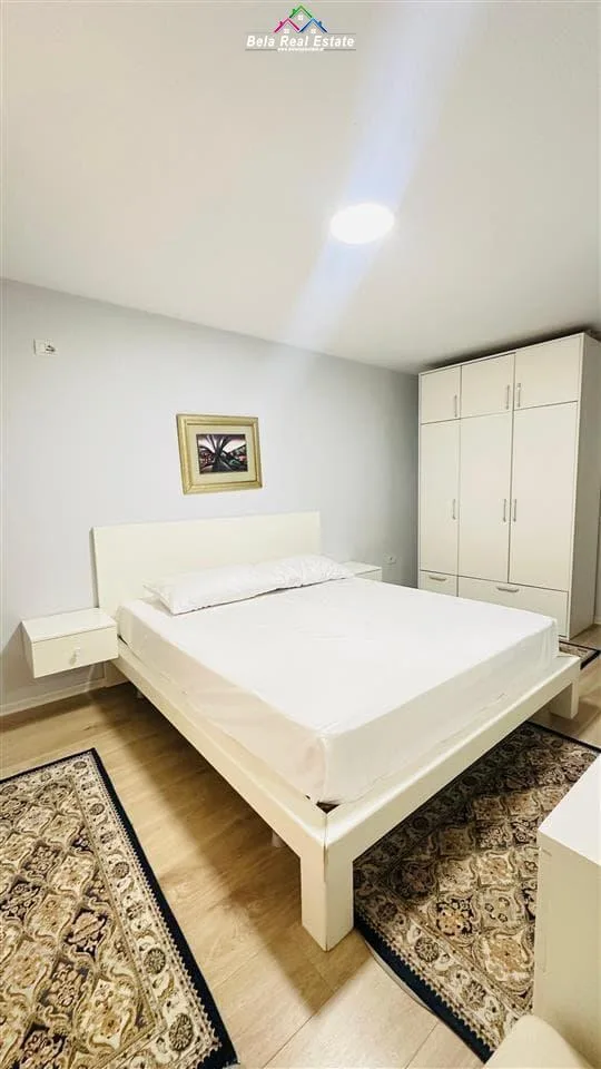 Apartament Me Qera 1+1 Tek Myslym Shyri (ID B211324)Tirane