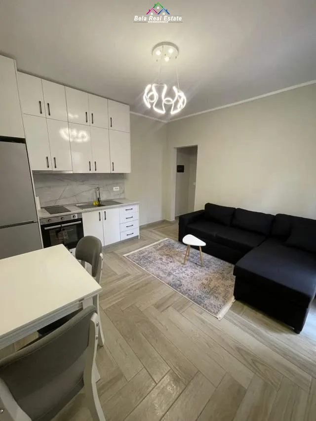 Apartament Me Qera 1+1 Ne Porcelan (ID B210651) Tirane.