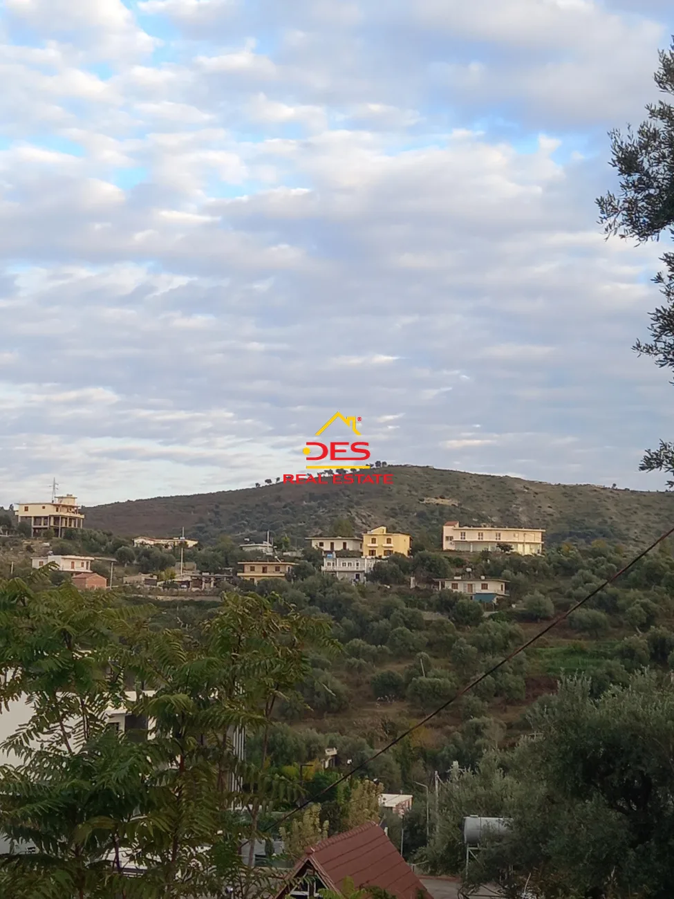 Shitet tokë – ullishte në kuzum baba kodër, vlorë