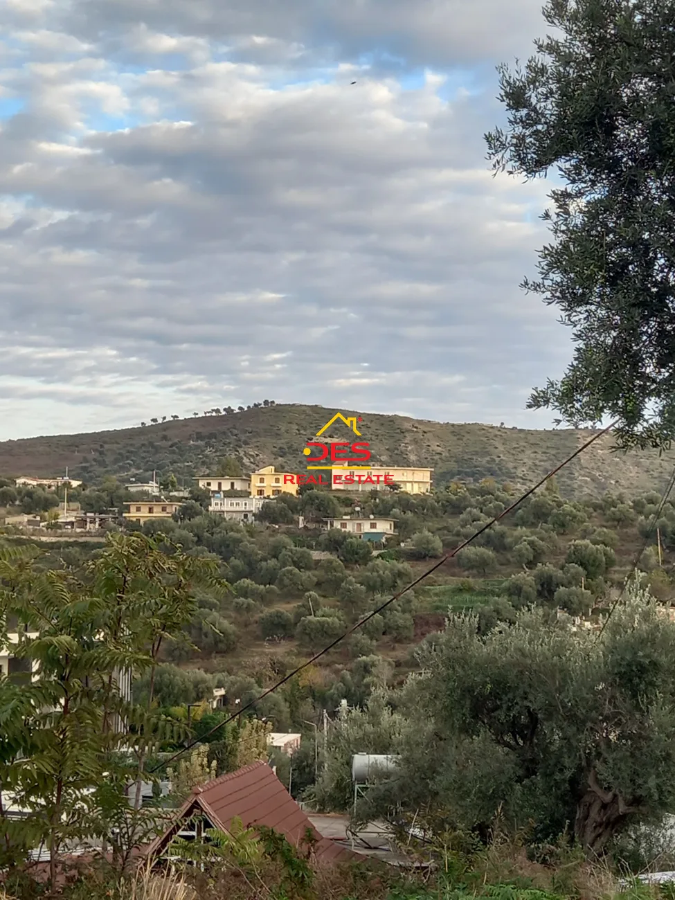 Shitet tokë – ullishte në kuzum baba kodër, vlorë
