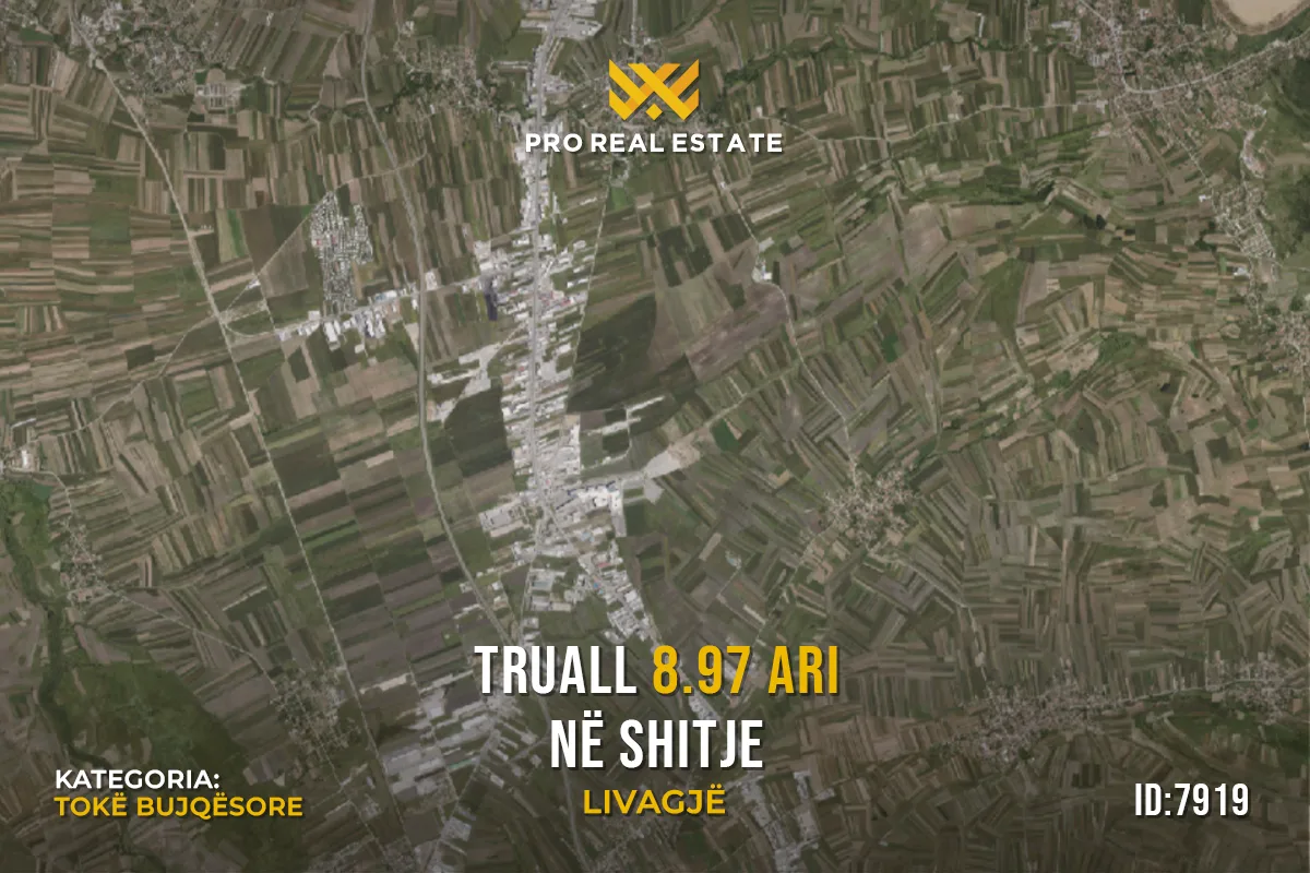Truall 8.97 Ari për #SHITJE në Livagjë