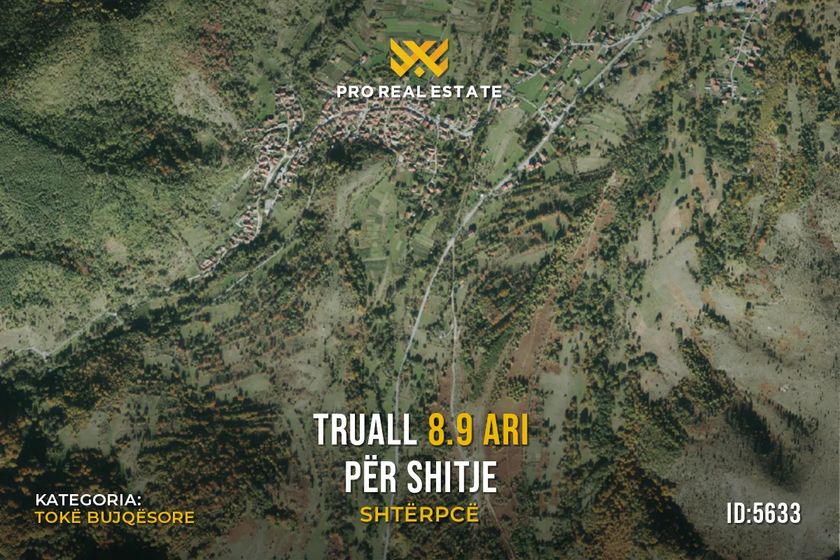Truall 8.9 Ari për #SHITJE në Shtërpcë