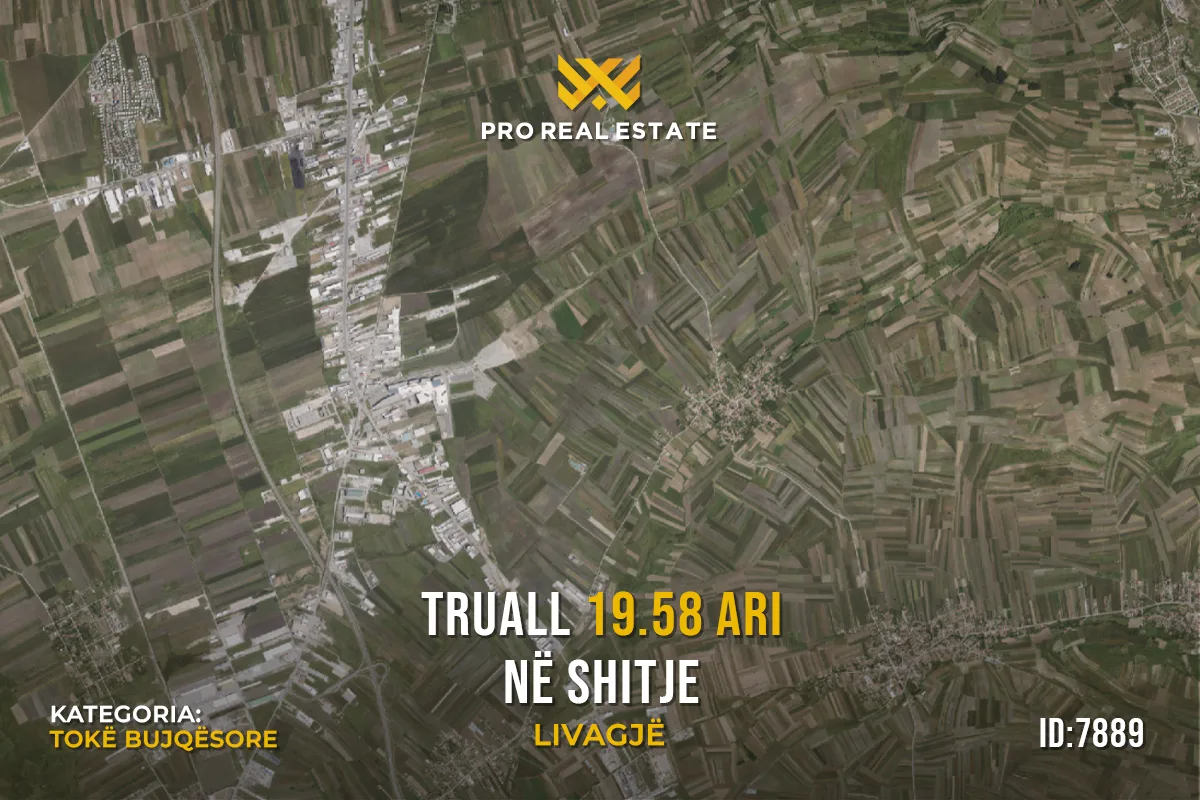 Truall 19.58 Ari për #SHITJE në Livagjë
