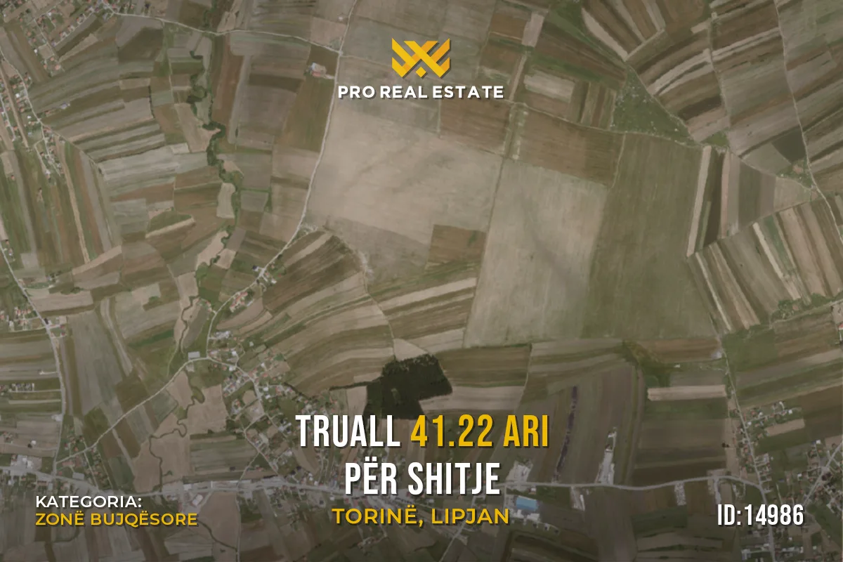 Truall 41.22 Ari për #SHITJE në Torinë