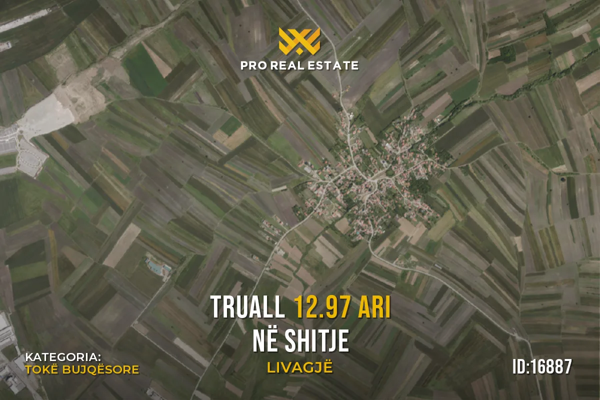 Truall 12.97 Ari për #SHITJE në Livagjë
