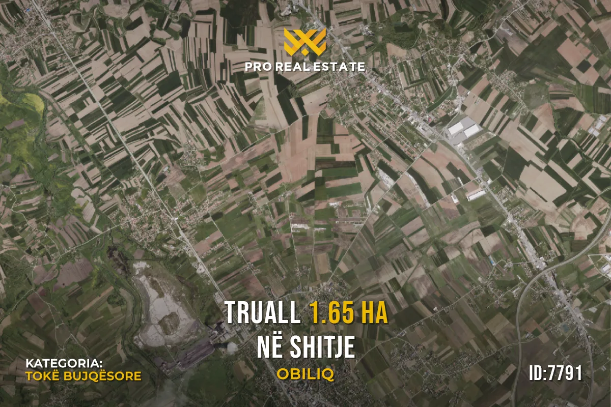 Truall 1.65 Ha për #SHITJE në Obiliq