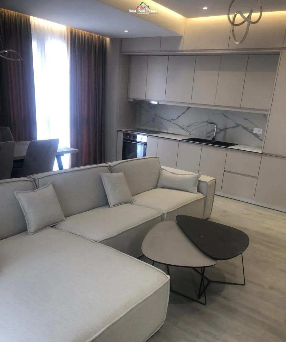 Apartament Me Qera 2+1+2 Ne Rrugen e Dibres (ID B220983) Tirane.